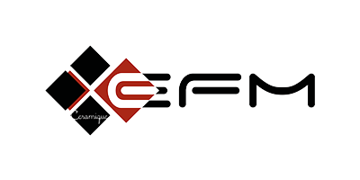 Logo EFM